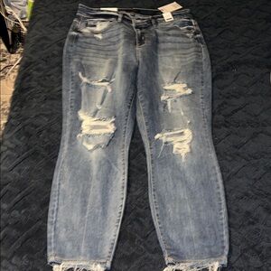 Judy Blue Jeans - Mid Rise, Distressed, Boyfriend Fit - 16W